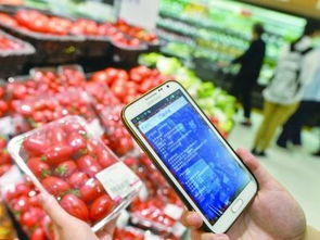 给食品销售插上互联网的翅膀 刘先玲与中国食品销售网的创新实践